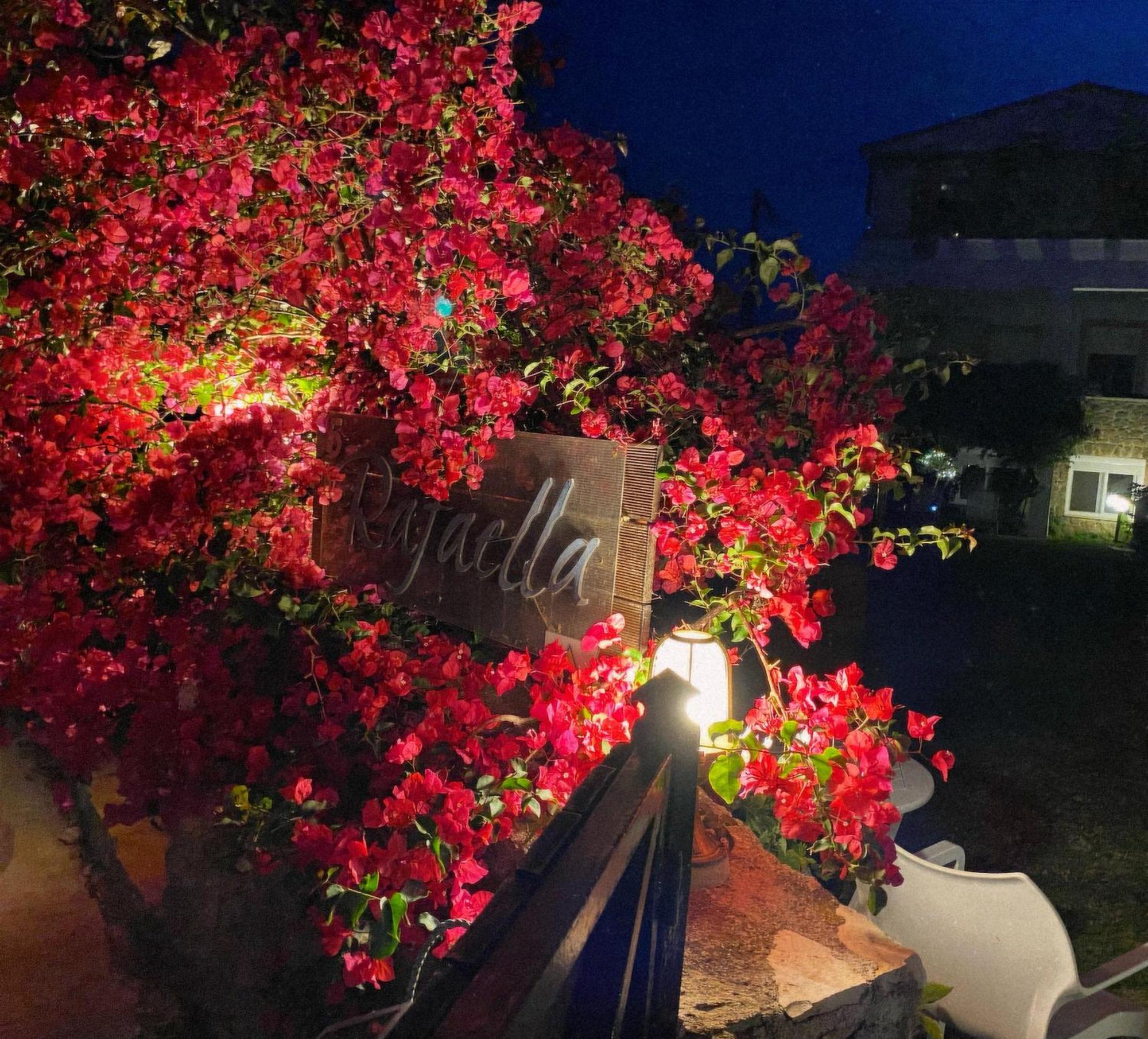 Irene'S Maisonette At Rafaella Resort Kokkónion Dış mekan fotoğraf